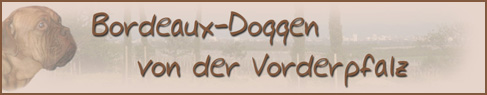 Bordeauxdoggen von der Vorderpfalz